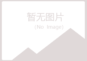 香港夏日能源有限公司